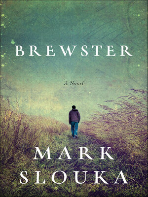 cover image of Brewster